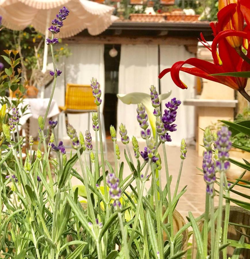 B&B La Vita E Bella Aci Trezza Dış mekan fotoğraf